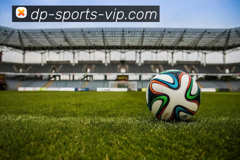 DP体育会员平台生态图