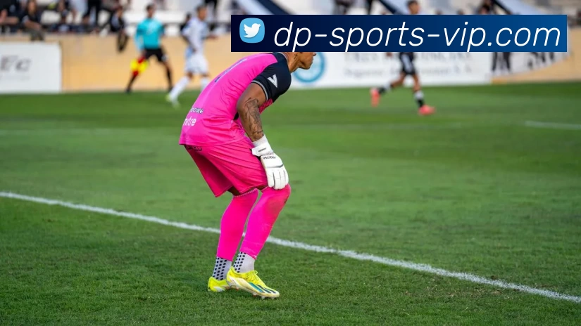 DP体育会员APP 封面图